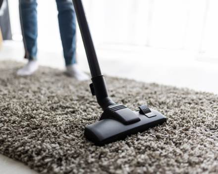 Carpet Cleaning